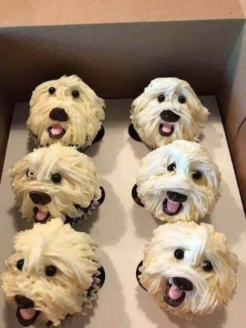 Cute puppy cupcakes ,