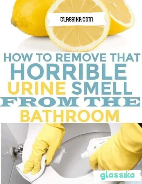 How to Removing that Horrible Urine Smell from Bathroom