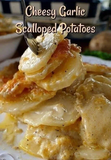 Cheesy Garlic Scalloped Potato