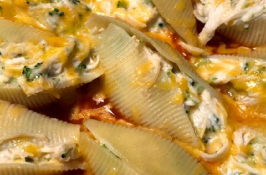 CHICKEN ALFREDO STUFFED SHELLS RECIPE