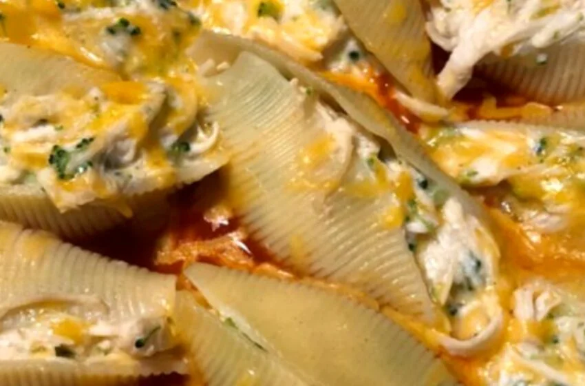 CHICKEN ALFREDO STUFFED SHELLS RECIPE